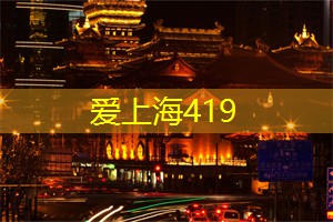 在夜生意盎然的集市中探险