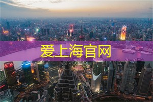 上海市 __ 动会的盛况